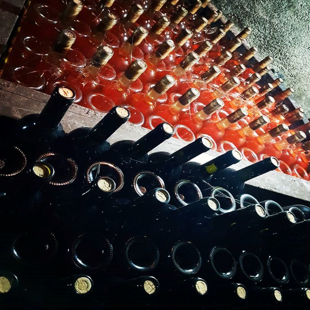 Degustare vin Tohani